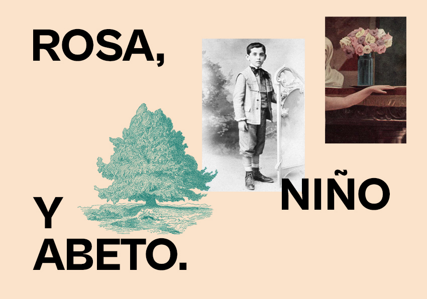 Rosa, xiquet i avet